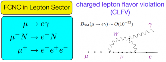 Dibujo20141225 charged lepton flavor violation - fcnc lepton sector
