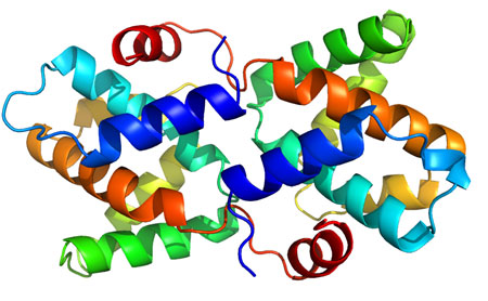 Structure of the Reston ebolavirus VP30 C-terminal domain