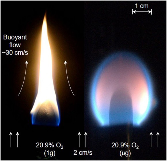 Dibujo20180111 pmma rod flame spread normal gravity and microgravity Scientific Reports 41598_2017_18398