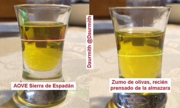 Dibujo20180201 daurmith photos green laser extra olive oil vs olive juice