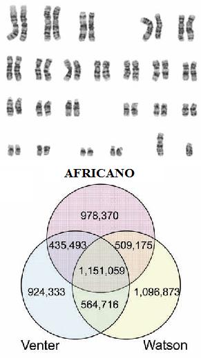 Intersección entre conjuntos de SNP entre 3 genomas.