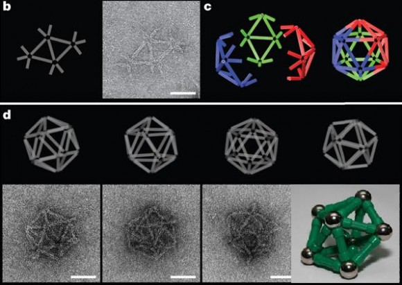 Jugando a Magnetix® con moléculas de ADN y el arte del tallado nanotecnológico