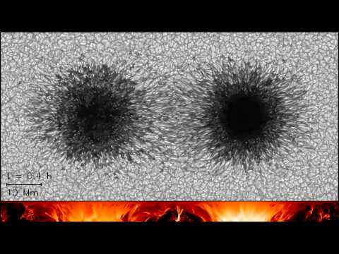 Vídeo de la simulación tridimensional de dos manchas solares en interacción