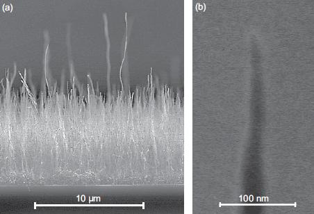 Dibujo20091111_Scanning_electron_microscope_image_of_nanotube_chip_for_atom_detection