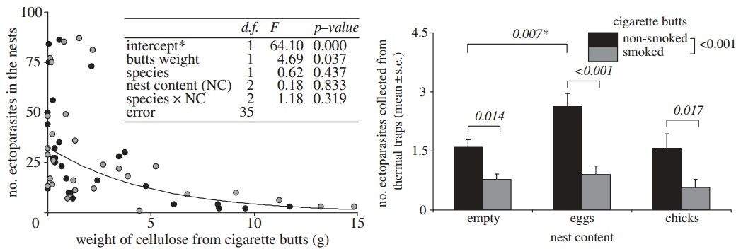 Thermal traps with smoked butts attracted fewer mites than traps with non-smoked butts