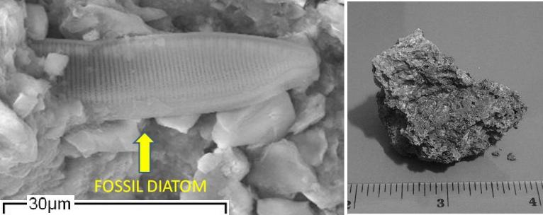 Dibujo20130311 possible fossil diatom in possible Carbonaceous chondrites meteorite