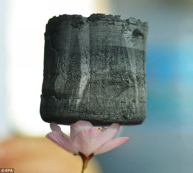 Dibujo20130328 The lightest solid ever developed - graphene aerogel placed on a cherry flower