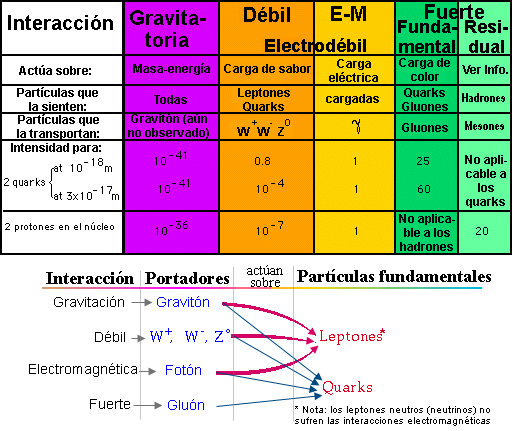 Resultado de imagen de Bosones gauge y fermiones