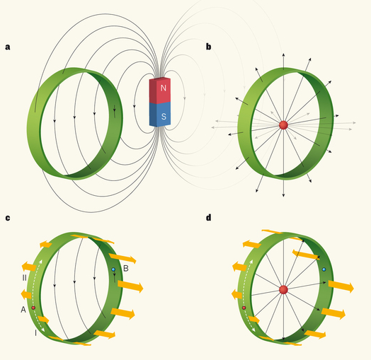 Dibujo20140128 magnetic monopole vs magnetic bar - nature