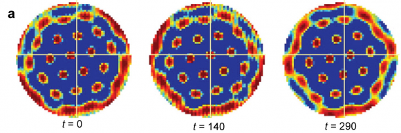 Dibujo20141006 Different models of grid field formation - 3 snapshots activity MEC network - annu rev neurosci