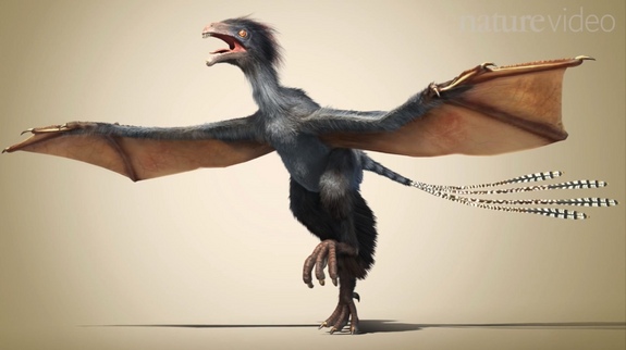 Dibujo20150725 yi-qi-bat-winged-dinosaur