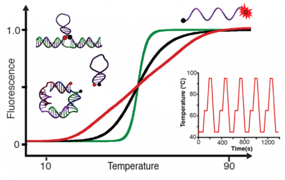 Dibujo20160427 Programmable Quantitative DNA Nanothermometers nanoletters