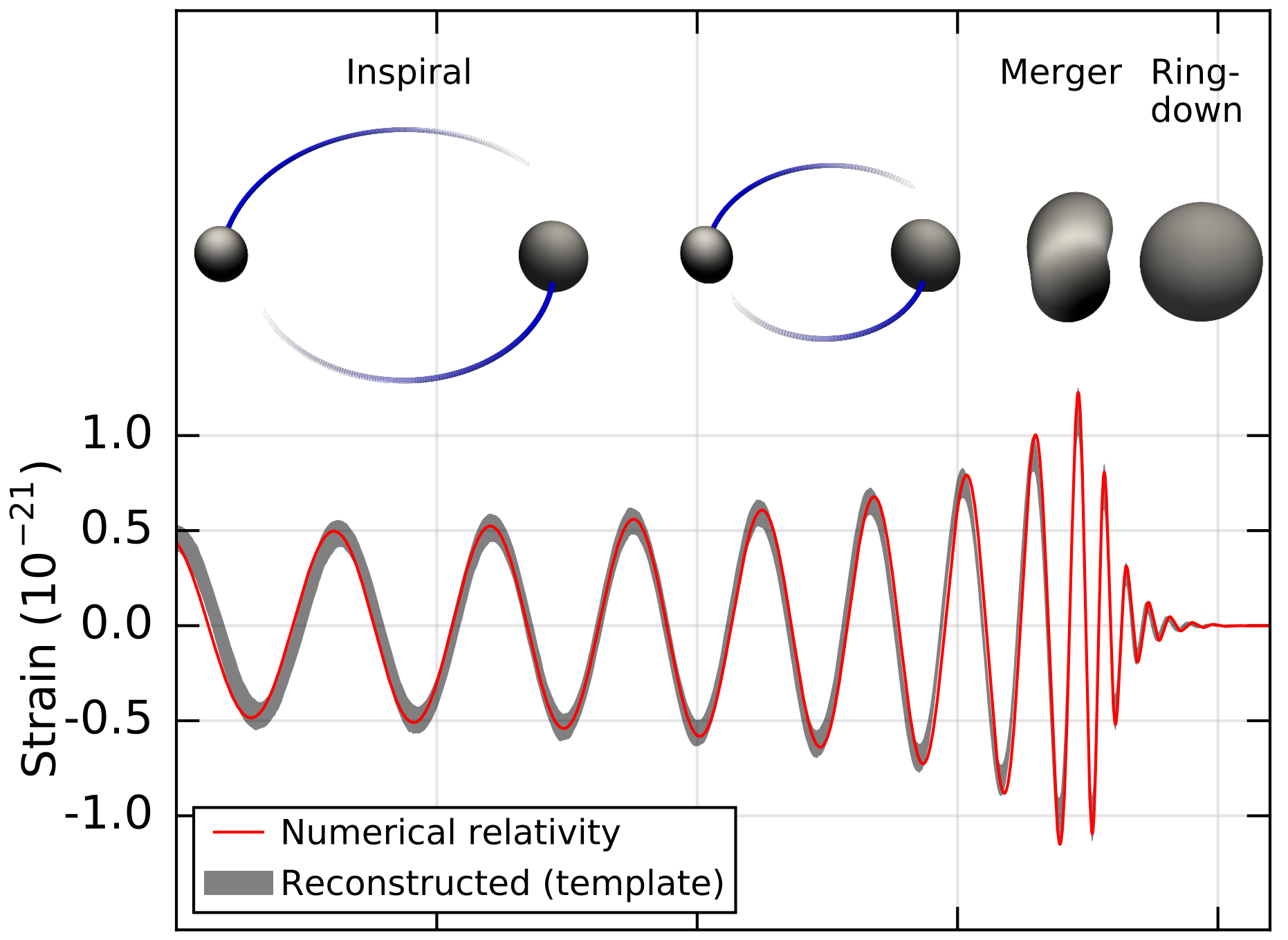 Las ondas gravitacionales y la naturaleza cuántica de los agujeros negros - La Ciencia de la Mula Francis