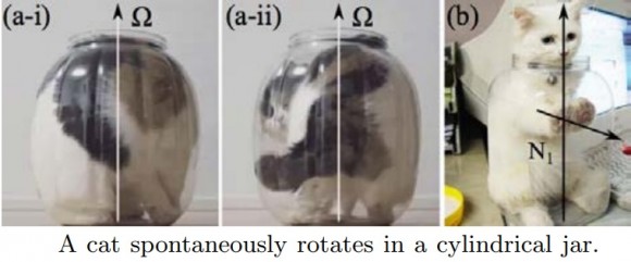 Dibujo20170918 a cat spontaneously rotates in a jar rheology org RB2014Jul