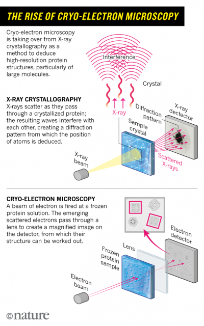 Dibujo20171006-Crystallography-graphic-nature-news