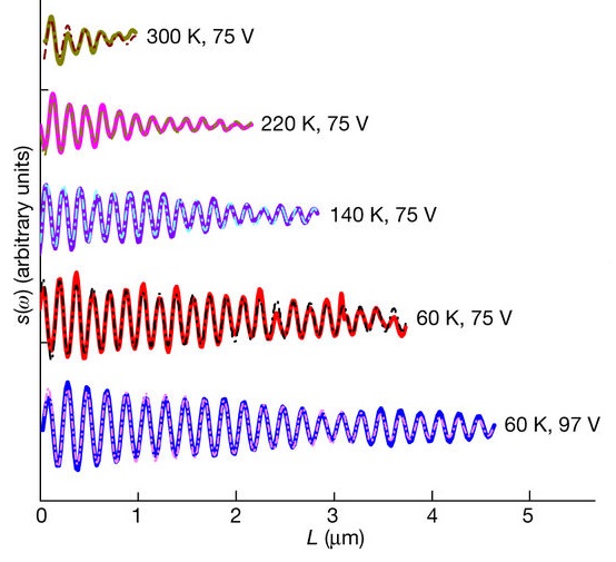 Dibujo20180524 trends in surface plasmon propagation in graphene nature 41586_2018_136