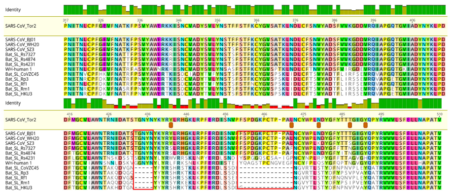 D20200204-nature-s41586-020-2008-3-receptor-binding-domain-spike-S-protein-novel-coronavirus.png
