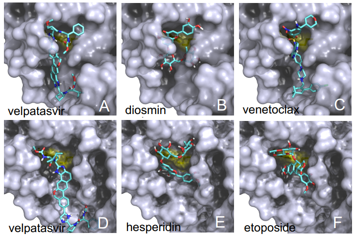 D20200319-chemrxiv-11831103-Virtual-screening-2019-nCoV-3CLpro-protease-active-sites-A-and-B-chains.png