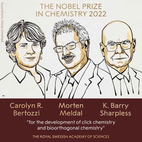 Premio Nobel de Química 2022: Meldal y Sharpless por la química en un clic, y Bertozzi por la química bioortogonal